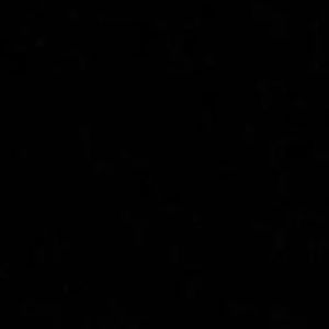 Meet your Posher, Dante